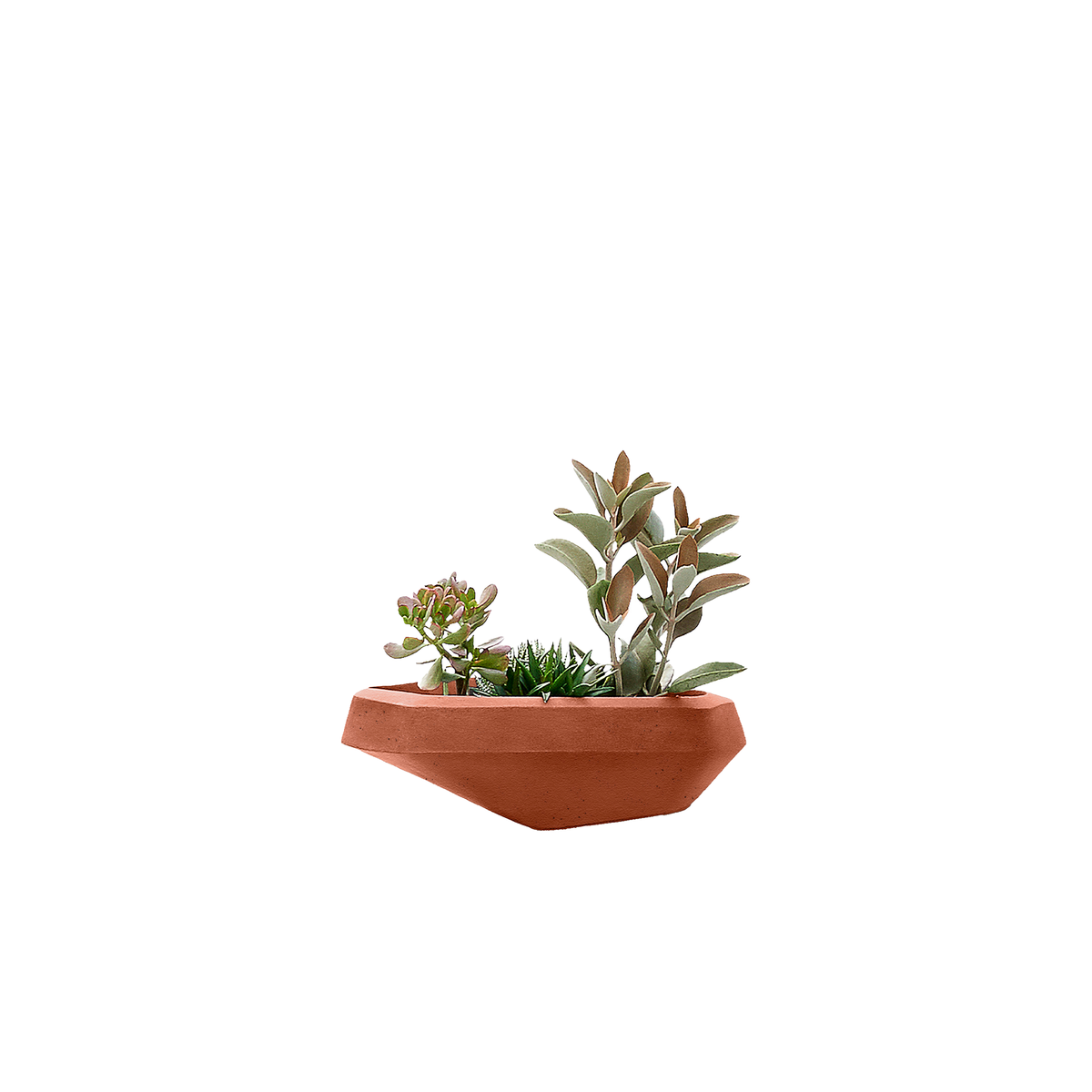 Steen Small