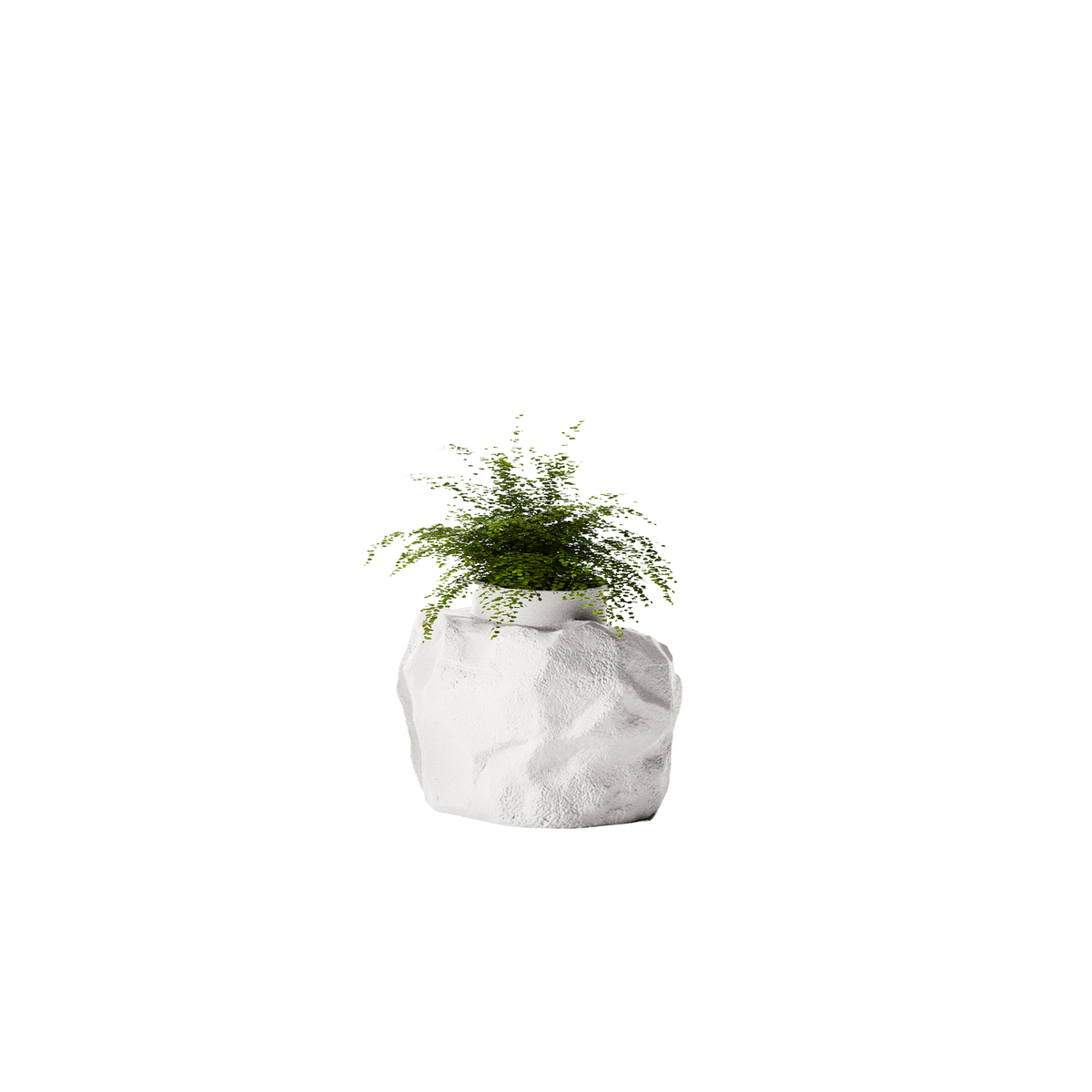 Petra Small