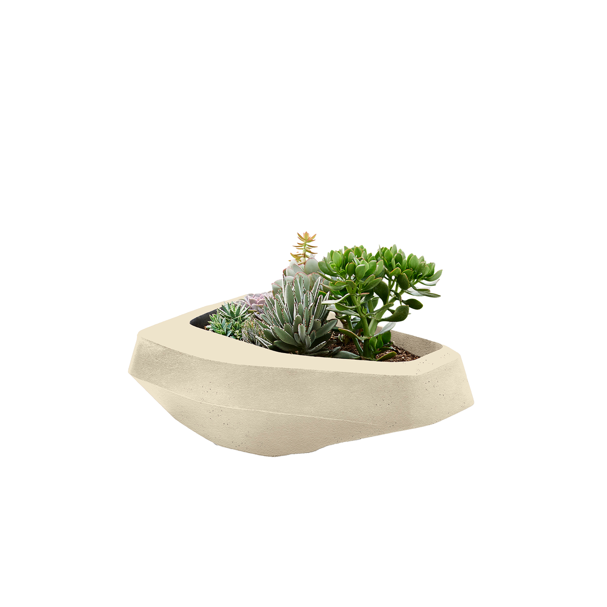 Steen Medium