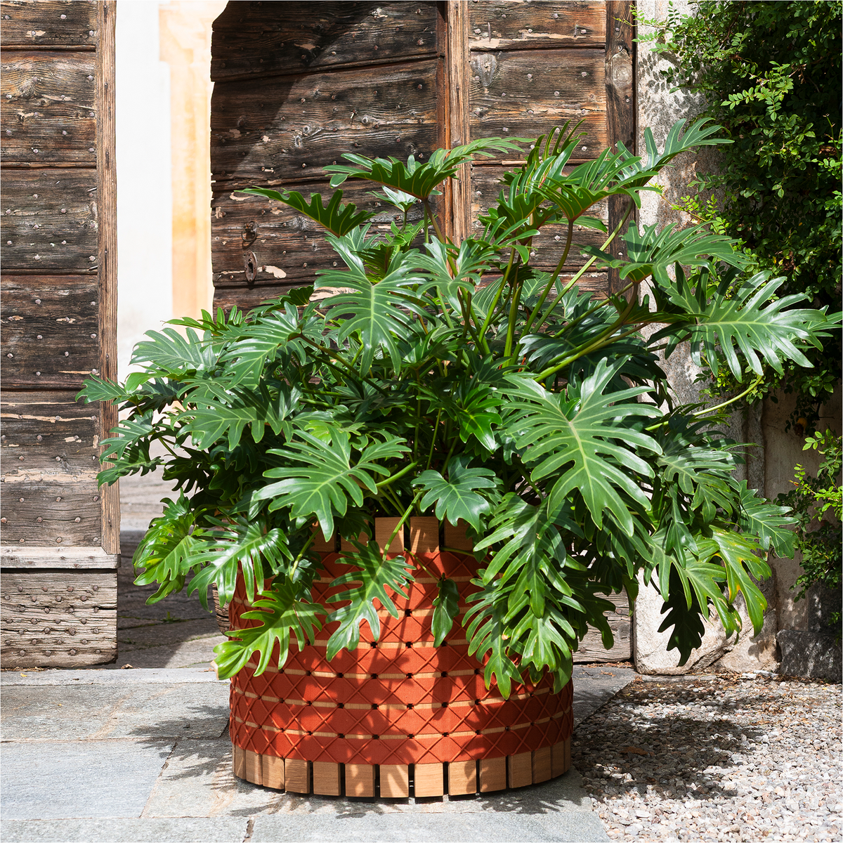 Barrique Planter 102 63 dia x 51 cm
