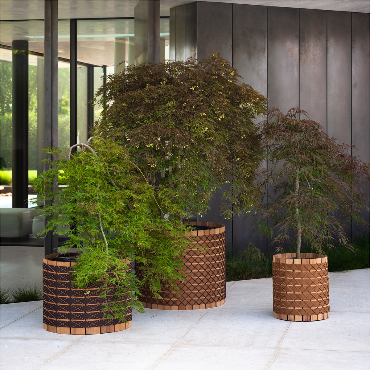 Barrique Planter 102 63 dia x 51 cm