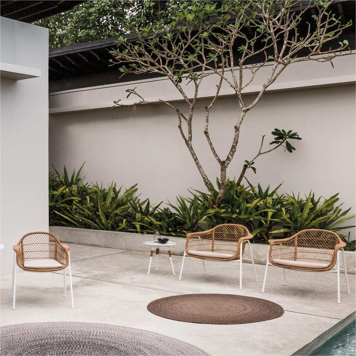 Fresco Lounge Chair