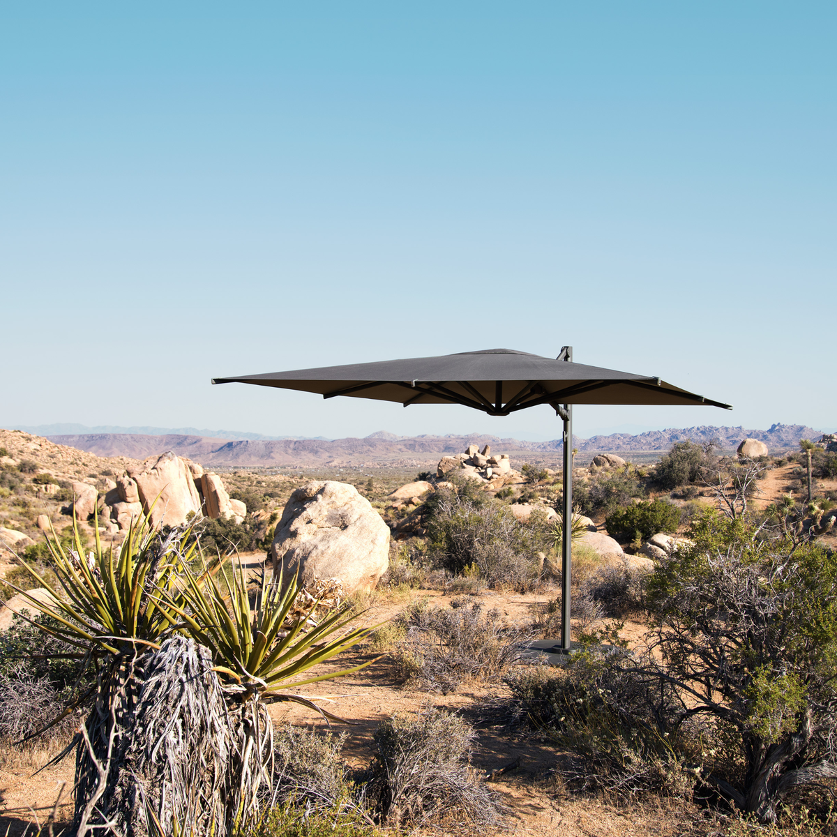 Reav Square Cantilever Umbrella
